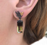 Dichroma Duo Earrings