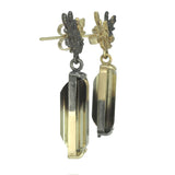 Dichroma Duo Earrings