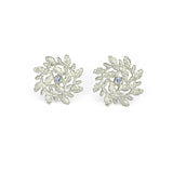 Star Earrings with Sapphire
